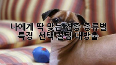 나에게 딱 맞는 견종🐶? 종류별 특징 & 선택 꿀팁 대방출!